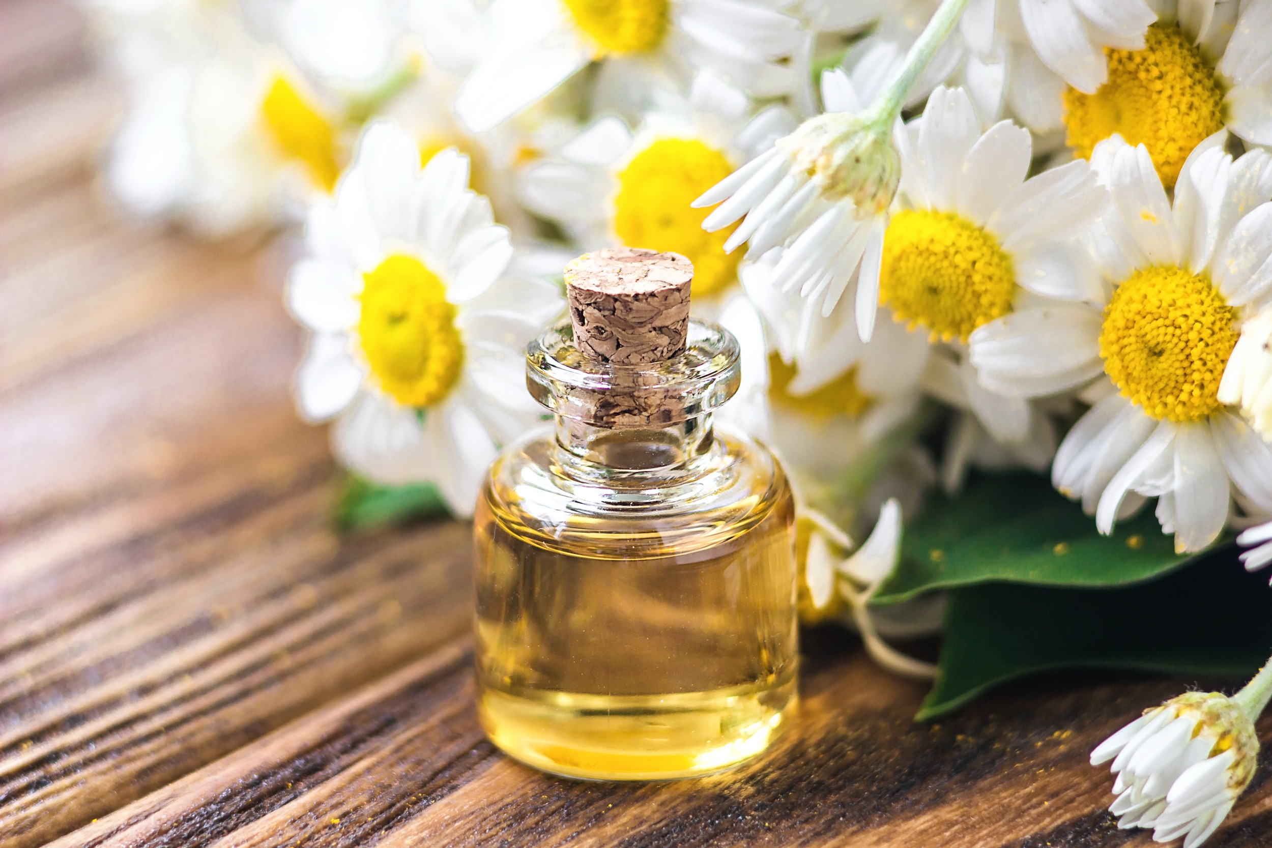 Essential oil bottle with a cork stopper, surrounded by white daisies on a wooden surface. Highlights natural beauty and wellness themes.